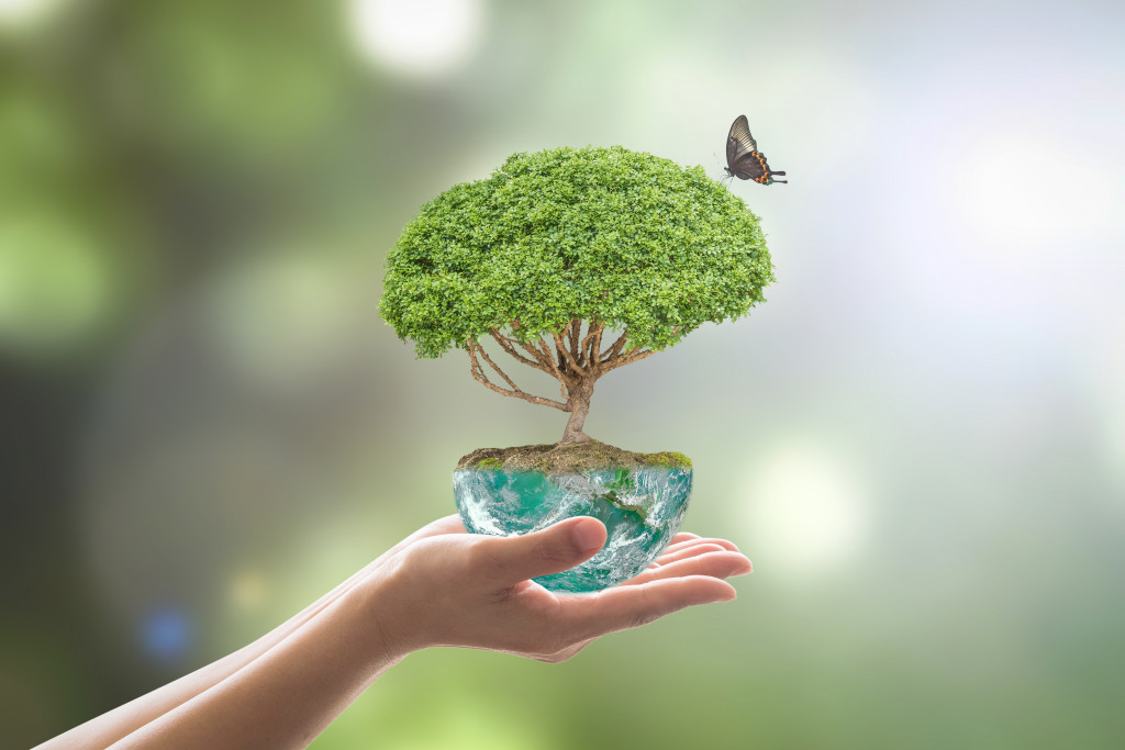 planting tree in human hands with butterfly concept of sustainability